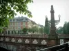 Strassburg - Zweig eines Baumes, Brücke Fonderie mit einer Strassenleuchte, Radfahrer, Bäume und Bauten