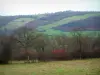 Suisse Normande - Trees and prairies (meadows)