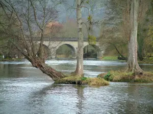 Suisse Normande - Orne valley: river, trees and bridge