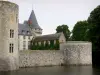 Sully-sur-Loire - Schloß von Sully-sur-Loire (mittelalterliche Festung), Wassergraben (die Sange) und Bäume