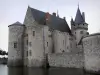Sully-sur-Loire - Sully-sur-Loire Castillo (fortaleza medieval) y palos (el Sange)