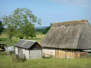 Sumpf Vernier - Reetdachhaus mit Fachwerk umgeben von Wiesen; im Regionalen Naturpark der Boucles de la Seine Normande