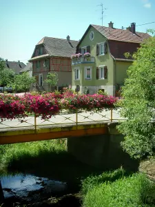 Sundgau - Rivière, petit pont orné de fleurs et maisons (village de Hirtzbach)