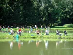 Sundgau - Étangs avec des pêcheurs, arbres en arrière-plan