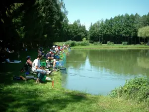 Sundgau - Arbres et étang avec des pêcheurs