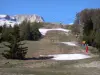 Superdévoluy的 - 滑雪胜地：春季滑雪场和树木;在Dévoluy