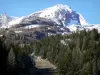 Superdévoluy的 - 滑雪胜地：春天的缆车（滑雪缆车），树木和积雪覆盖的山峰;在Dévoluy