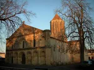 Surgères church - Notre-Dame church of Romanesque style and trees