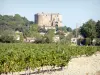 Suze-la-Rousse castle - View of the medieval castle from the surrounding vineyards, in Drôme Provençale