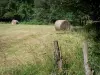 Swiss Normandy (Suisse Normande) - Bales of hay in a field