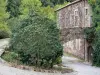 Sylvanès abbey - Former Cistercian abbey - Cultural Centre: convent building