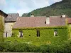 Sylvanès abbey - Former Cistercian abbey - Cultural Centre: facade covered with virginia creeper