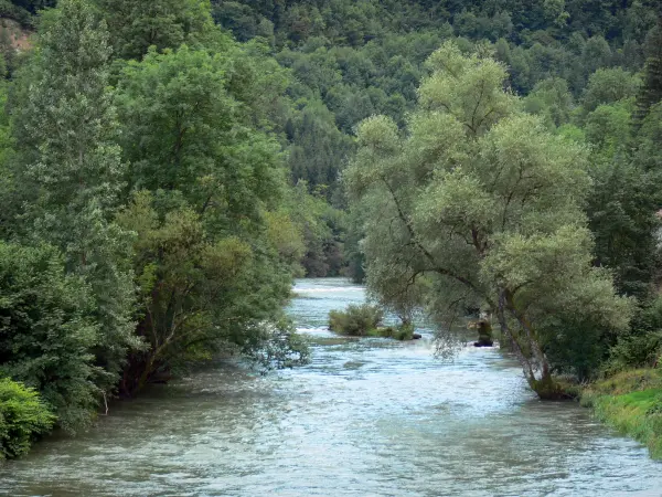Tal des Dessoubre - Fluss Dessoubre gesäumt von Bäumen