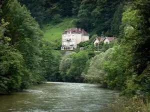 Tal des Dessoubre - Häuser überragend den Fluss Dessoubre, Bäume am Wasserrand