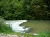 Tal des Dessoubre - Fluss Dessoubre und Bäume am Wasserrand