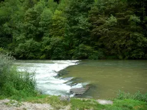 Tal des Dessoubre - Fluss Dessoubre und Bäume am Wasserrand