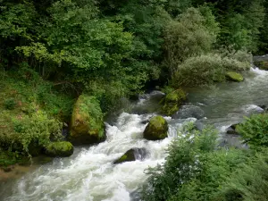 Tal des Dessoubre - Fluss Dessoubre gesäumt von Bäumen und Sträuchern