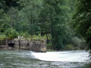 Tal des Dessoubre - Fluss Dessoubre und Bäume am Wasserrand