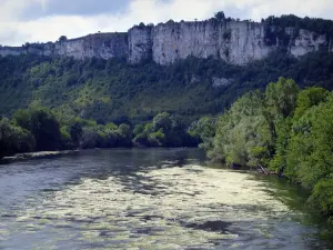 Tal der Dordogne - Fluss (die Dordogne), Bäume am Rande des Wassers und Felsen überragen die Gesamtheit, im Quercy