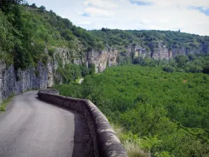 Tal der Dordogne - Strasse, Bäume und Felsen, im Quercy