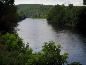 Tal der Dordogne - Fluss (die Dordogne) und Bäume am Rande des Wassers, im Quercy