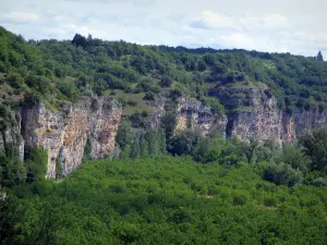 Tal der Dordogne - Felsen und Bäume, im Quercy