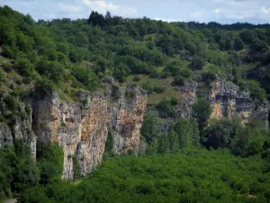 Tal der Dordogne - Felsen und Bäume, im Quercy