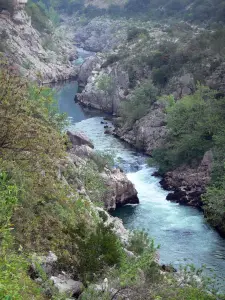 Tal des Hérault - Schluchten des Hérault: Felsen, Fluss Hérault, Bäume, Sträucher