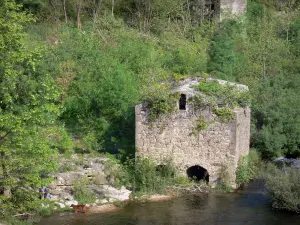 Tal des Hérault - Hütte aus Stein am Rande des Wassers, Fluss Hérault und Bäume