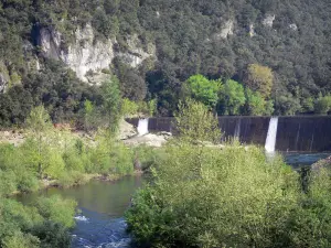 Tal des Hérault - Fluss Hérault und Bäume
