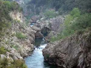 Tal des Hérault - Schluchten des Hérault: Felsen, Fluss Hérault und Sträucher