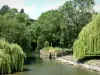 Tal des Loir - Fluss Loir gesäumt von Bäumen; in La Chartre-sur-le-Loir