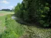 Tal Manse - Fluss mit Seerosen, Bäume am Rande des Wassers und Felder, im Regionalen Naturpark Loire-Anjou-Touraine