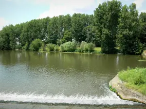 Tal der Sarthe - Fluss Sarthe und Ufer bepflanzt mit Bäumen