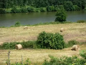 Tal der Sarthe - Heuballen auf einer Wiese, am Ufer des Flusses Sarthe