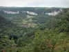 Talkessel von Baume - Felsen, Häuser der Ortschaft Baume-les-Messieurs, Vegetation und Bäume