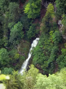 Talkessel der Consolation - Wasserfall umgeben von Vegetation