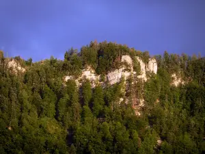 Talkessel der Consolation - Felswände und Bäume