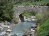 Talkessel von Gavarnie - Landschaft während dem Aufstieg zum Kesselfuss: Steinbrücke überspannend den Gebirgsbach (Wasserlauf), Felsen und Vegetation; im Nationalpark der Pyrenäen