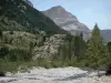 Talkessel von Gavarnie - Landschaft während dem Aufstieg zum Kesselfuss: Gebirgsbach (Wasserlauf) gesäumt von Felsen und Steinen, Bäume und Gebirge; im Nationalpark der Pyrenäen