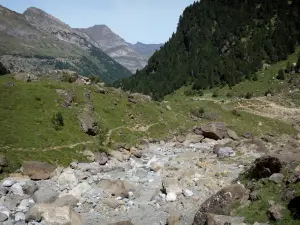 Talkessel von Gavarnie - Landschaft während dem Aufstieg zu dem Felswandfuss des Kessels: Felsen, Steine, Rasen mit Blick auf das Gebirge säumend das Tal von Gavarnie