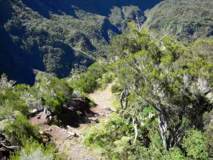 Talkessel Mafate - Wanderweg im Herzen des natürlichen Talkessels Mafate