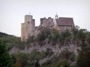 Tallard - Medieval castle and its chapel of Flamboyant Gothic style perched on a rocky spur