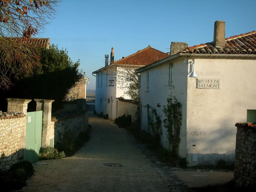 Talmont-sur-Gironde - Ruelle du village bordée de maisons blanches, dont l'une abritant le musée de Talmont