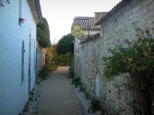 Talmont-sur-Gironde - Village corsia fiancheggiata da piante, cespugli e case