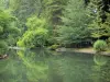 Tarbes - Massey giardino (parco inglese): laghetto circondato da alberi