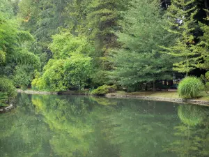 Tarbes - Massey garden (English landscape park): pond lined with trees