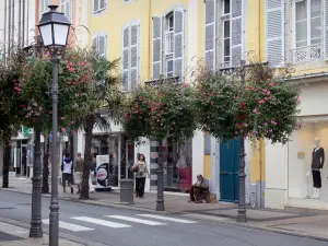 Tarbes - Fachadas a la calle de las casas, tiendas, lámparas y flores