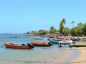 Tartane - Small colorful fishing boats