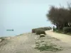 Teich Thau - Kurort  Balaruc-les-Bains: Promenade längs des Teiches (Becken Thau)